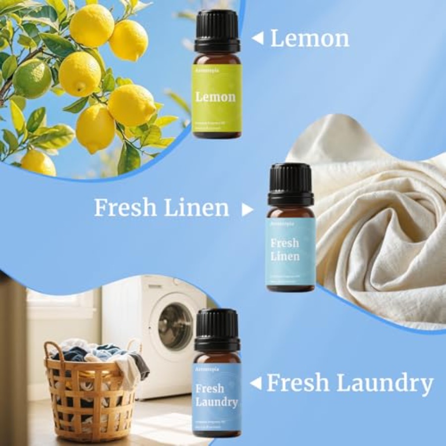 Diffuser Fragrance Oils, Essen - Candle Making Oil Scents review and price
