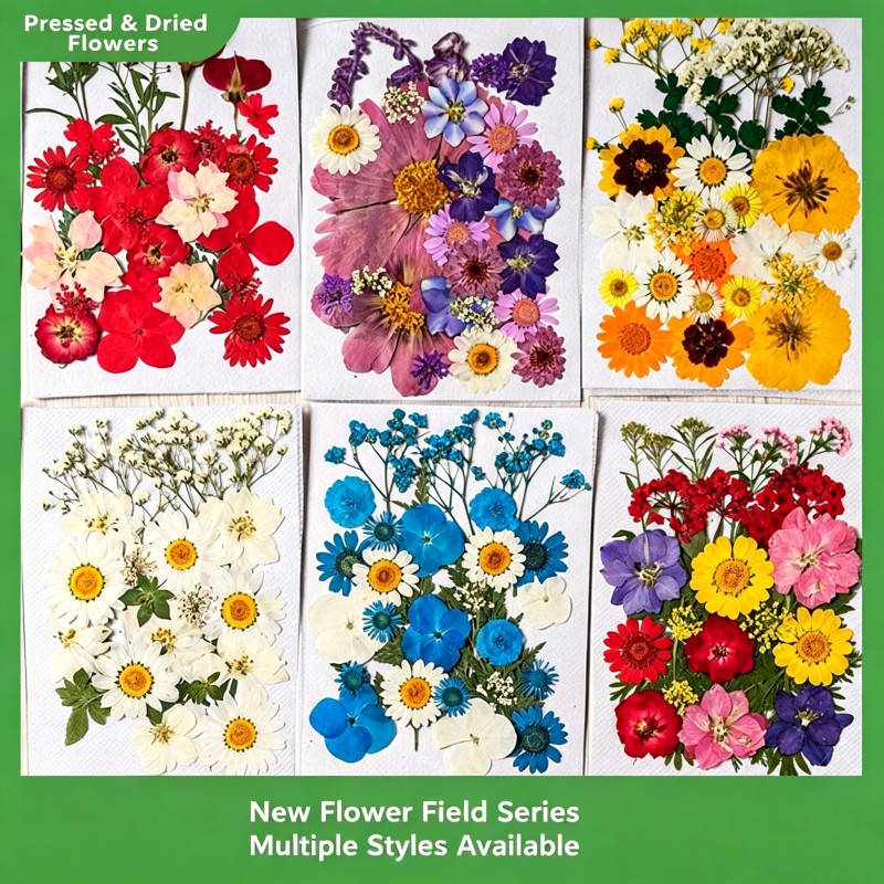 35Pcs10 Set of Dried Flowers a - Candle Making Set review and price