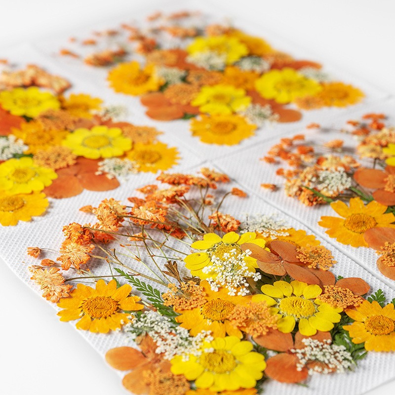 35Pcs10 Set of Dried Flowers a - Candle Making Set review and price